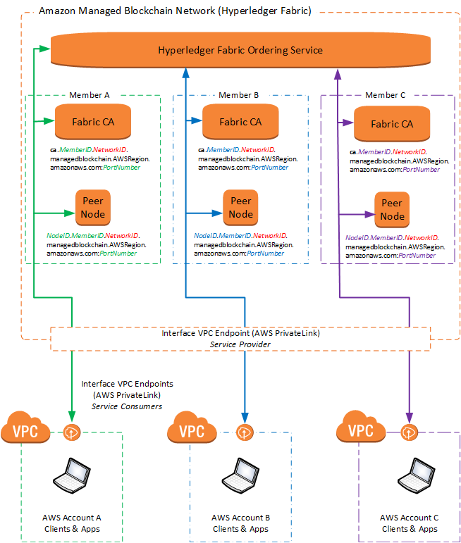 Network Monitor for Private Blockchain Nodes